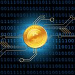 Bitcoin Transactions Explained Bitcoin Transactions Explained