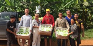Banana Coin Private Sale Is On