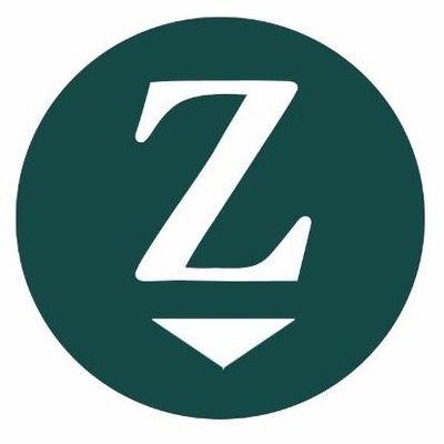 Zloadr Ico Reviewed