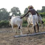 Can Blockchain Solve India’s Land Rights Corruption? Can Blockchain Solve India’s Land Rights Corruption?