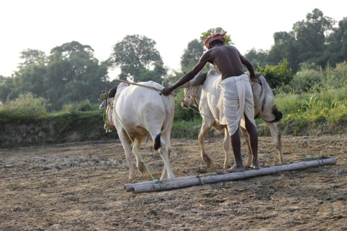 Can Blockchain Solve India’s Land Rights Corruption?