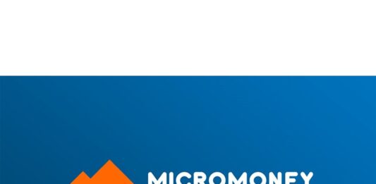 Micromoney Ico Reviewed