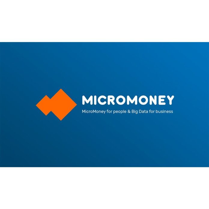 Micromoney Ico Reviewed
