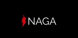 Nagacoin Ico Review