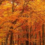 Crypto Thought Leaders, Weekend Deep Dive Insights, Learn More Here Crypto Thought Leaders, Weekend Deep Dive Insights, Learn More Here