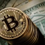 Learn More About Bitcoin And Cryptocurrency Learn More About Bitcoin And Cryptocurrency