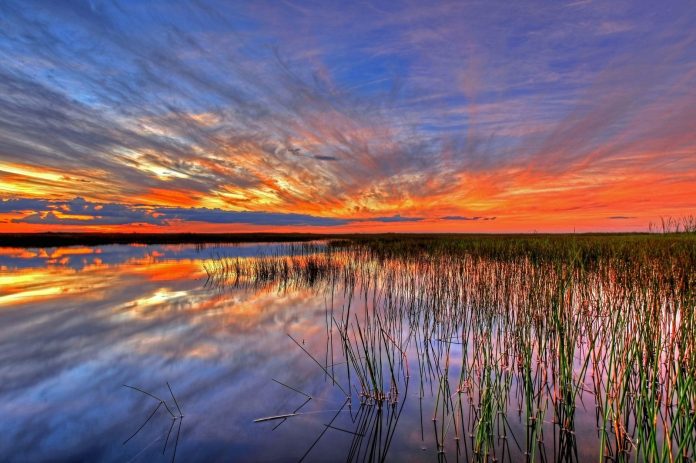 sunset-1018456_1920 The Rise Of Ethereum, Bitcoin And Other Breaking Crypto Stories, Cryptocoin News Weekly Roundup