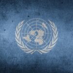 UN Agencies To Use Blockchain To Combat Child Trafficking Un Agencies To Use Blockchain To Combat Child Trafficking