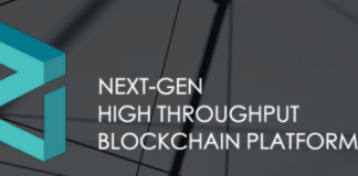 Zilliqa Ico Review – Next Gen Blockchain Platform