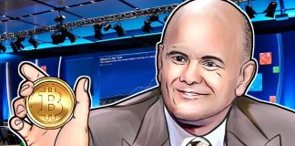 Mike Novogratz Warns Bitcoin Could Fall To $8,000