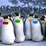 Weekly ICO Review Roundup, The Latest Cutting Edge ICOs Evaluated Weekly Ico Review Roundup, The Latest Cutting Edge Icos Evaluated