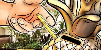 The Pineapple Fund, Using Bitcoin Profits For Crypto Good,