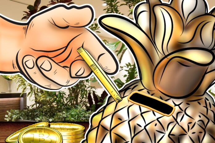 The Pineapple Fund, Using Bitcoin Profits For Crypto Good,