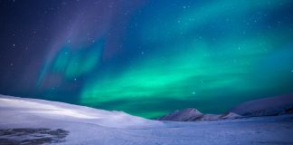The Weekly Ico Roundup, This Week’s Icos To Watch
