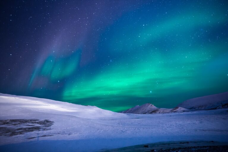 The Weekly ICO Roundup, This Week’s ICOs To Watch The Weekly ICO Roundup, This Week’s ICOs To Watch