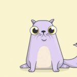Ethereum This Week: Cryptokitties Phenomenon, Is Bitconnect A Ponzi Scheme? And More Ethereum This Week: Cryptokitties Phenomenon, Is Bitconnect A Ponzi Scheme? And More