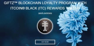 Giftz Ico Review: Loyalty Reward Programmes Built On The Blockchain