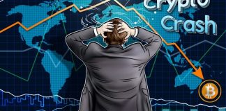 Can The Cryptocurrency Market Survive The Current Crash?