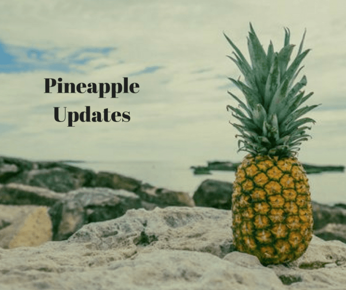 Pineapple Fund Bitcoin Philanthropy, $86 Million For Charities, ‘pine’ Shares Exclusive Interview Insights
