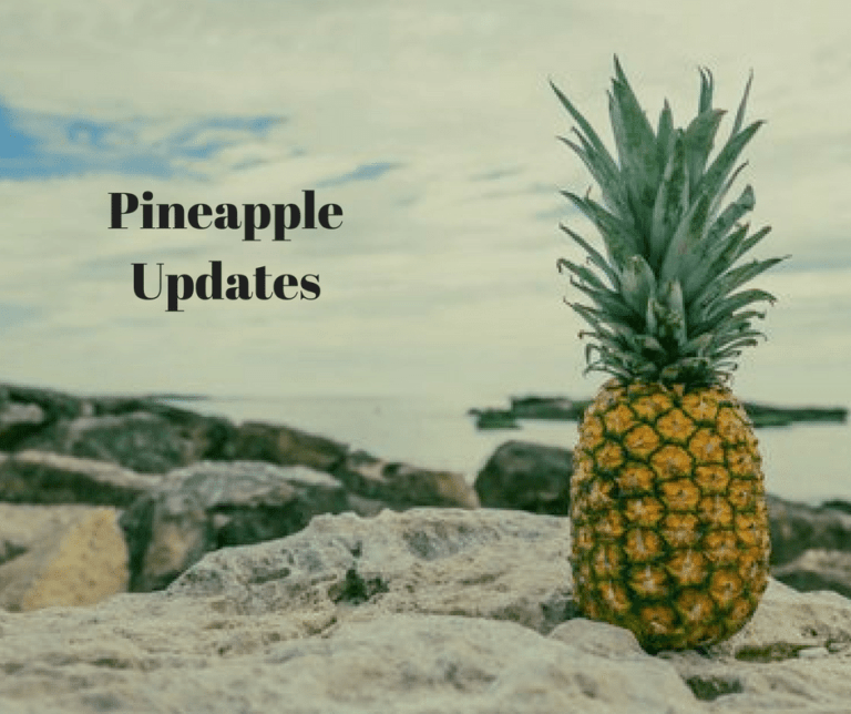 Pineapple Fund Bitcoin Philanthropy, $86 Million For Charities, ‘pine’ Shares Exclusive Interview Insights