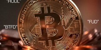 Everything You Wanted To Know About Crypto But Were Too Embarrassed To Ask, Hodl, Btfd And Much More Explained