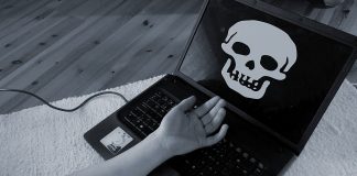 Seele ICO Establishes Emergency Response Plan After Suffering $1.8 Million Scam
