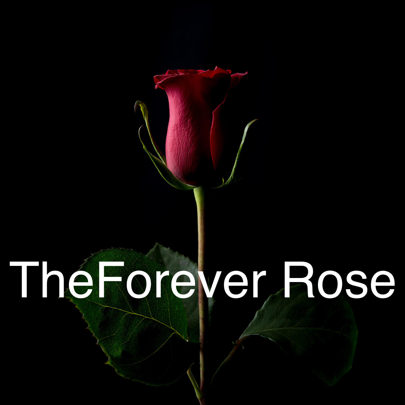 forever rose blockchain