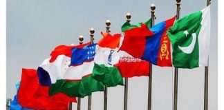 Uzbekistan, Kazakhstan, And Kyrgyzstan Establish Themselves In The Crypto Industry