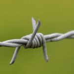 Protection Vs Risks: Why Russian’s ICO-Hub System Needs To Balance Both Protection Vs Risks: Why Russian’s Ico-hub System Needs To Balance Both