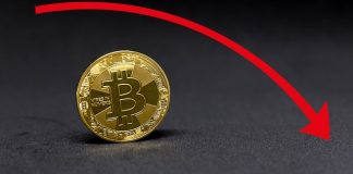 has bitcoin turned bore