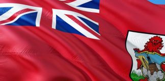 Bermuda's Crypto Ecosystem Grows, Regulations will Follow Soon