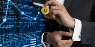 crypto rise bitcoin new jog