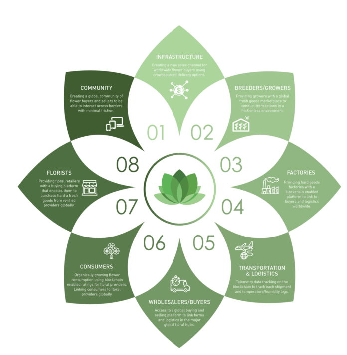 Flora Florachain Ico Review: Blockchaining The Floral World