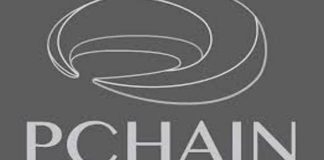 Pchain Ico Review: Making Large-scale Blockchain Applications Possible