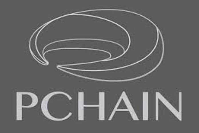 Pchain Ico Review: Making Large-scale Blockchain Applications Possible