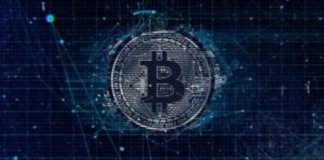 Are Cryptocurrencies Going Up Or Down? What Does The Future Hold For Them?