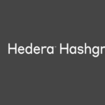Hedera Hashgraph ICO Review Hedera Hashgraph Ico Review