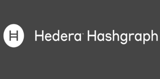 Hedera Hashgraph Ico Review