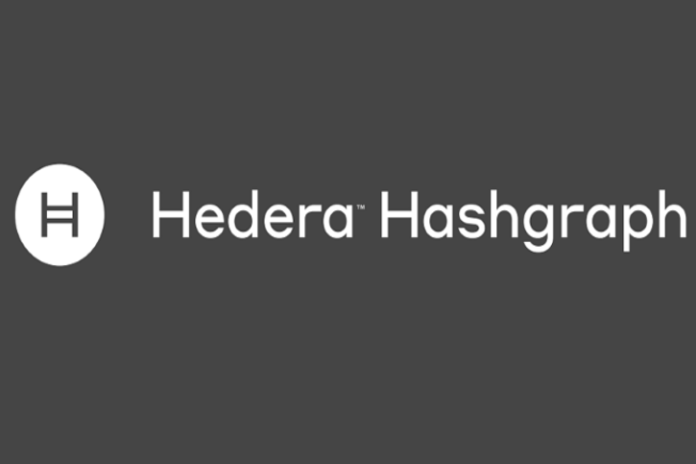 Hedera Hashgraph Ico Review