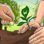 Money Doesn’t Grow On Trees, But Maybe Crypto Does… Pixel Charity Ico Review: Tokenizing Donations On The Blockchain