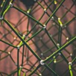 Send Bitcoin Without The Internet – The Power Of Mesh Networks Send Bitcoin Without The Internet – The Power Of Mesh Networks