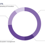 AMO Token Distribution, Source: Amo.foundation