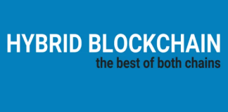 Hybrid Blockchain: The Best Of Both Chains