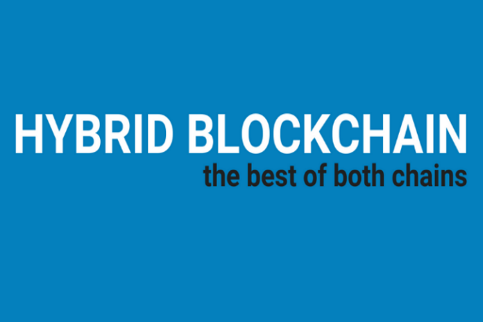 Hybrid Blockchain: The Best Of Both Chains