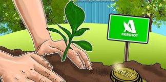 6 Countries Leading The Way In Crypto Innovation