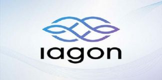 Iagon Ico Review: A One-stop Solution For Decentralized Cloud-based Services