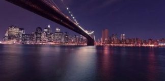 The New York Crypto And The City Scene