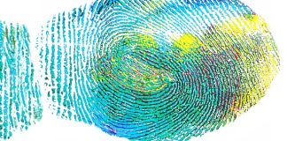 An Introduction To The Use-cases Of Collectible Tokens
