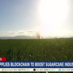 Australia Applies Blockchain To Boost Sugarcane Industry Australia Applies Blockchain To Boost Sugarcane Industry