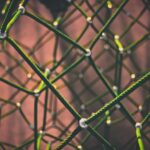 Centralization Is The Most Common DeFi Vulnerability According To CertiK What Is Bitcoin?